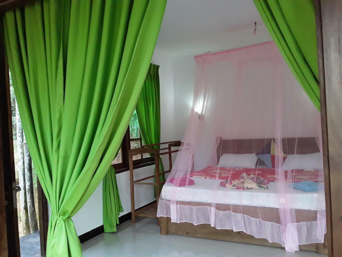 Nine Arch Araliya Homestay 엘라 외부 사진
